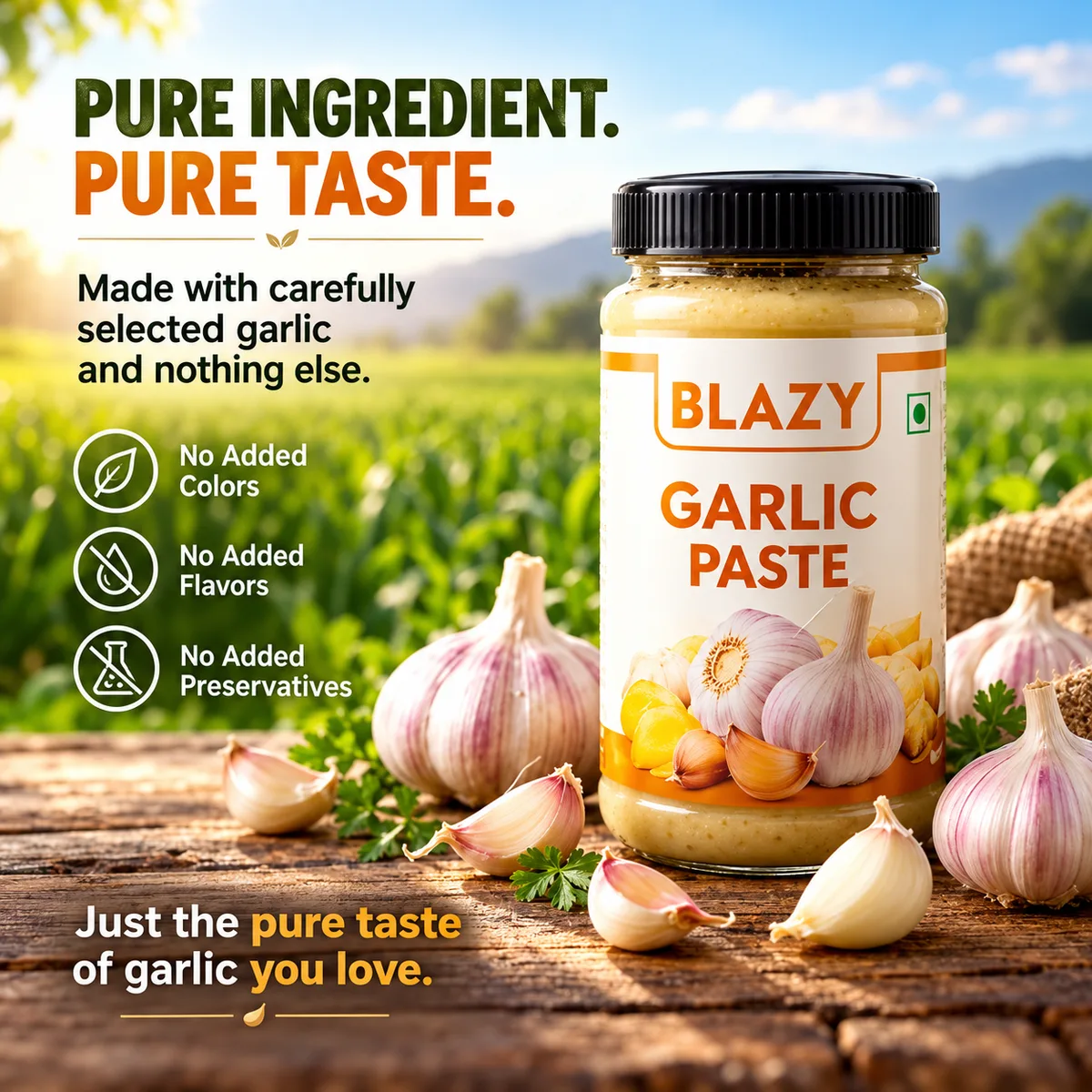 Garlic Paste 2